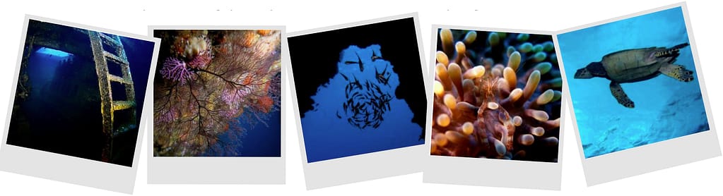 Photos de plongée